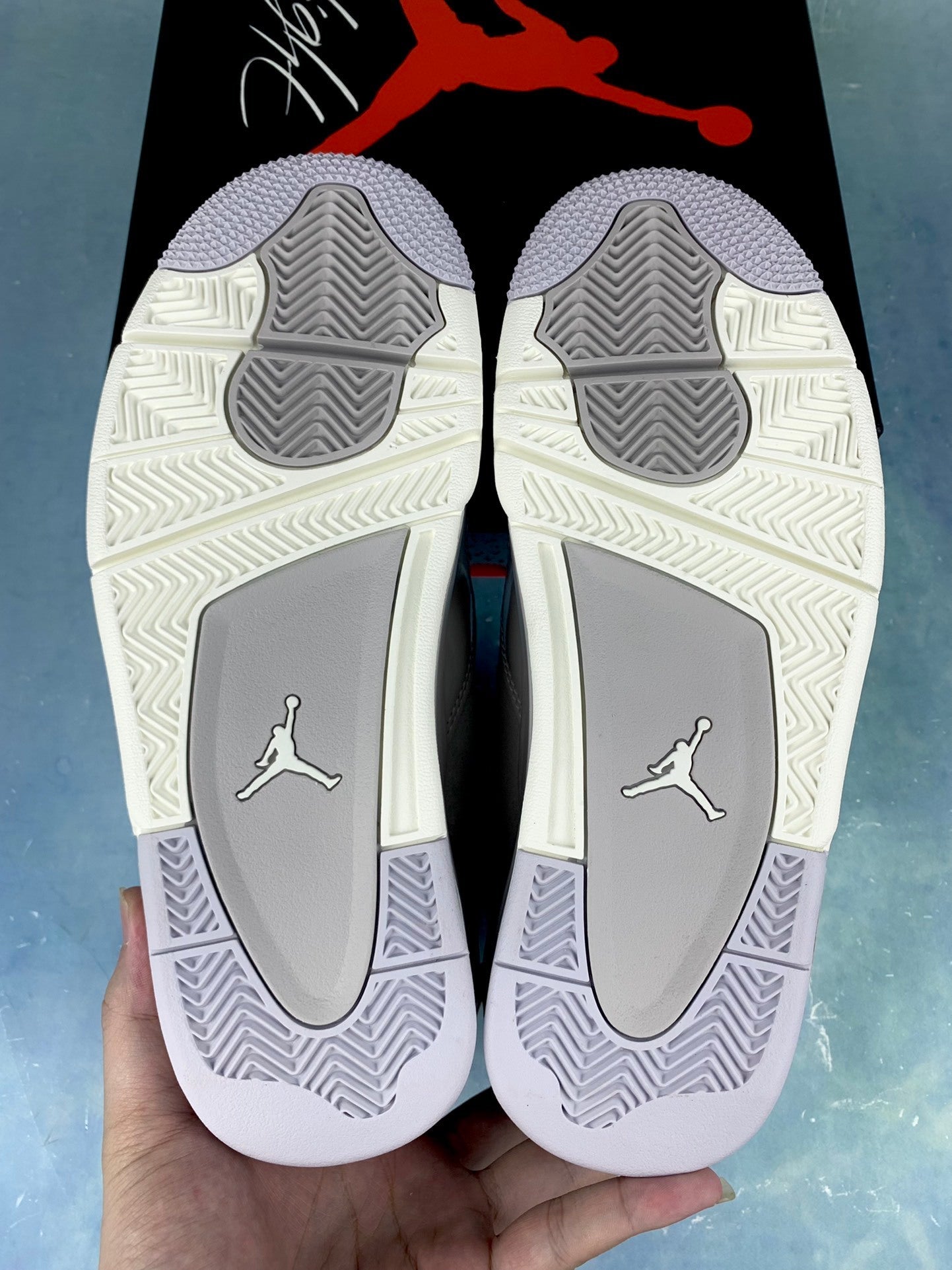 Air Jordan 4 Basketball Shoes (Men's & Women's)